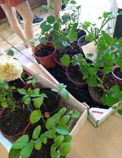 Chacun peut venir aussi ponctuellement pour arroser et entretenir les plantes.